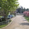 Photo of blossom on trees at the Orchard Caravan Park