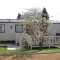 Photo of blossom on trees at the Orchard Caravan Park