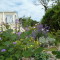 Shrubs and plants around the park