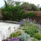 Shrubs and plants around the park