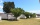Photo of gardens on the Orchard Caravan Park